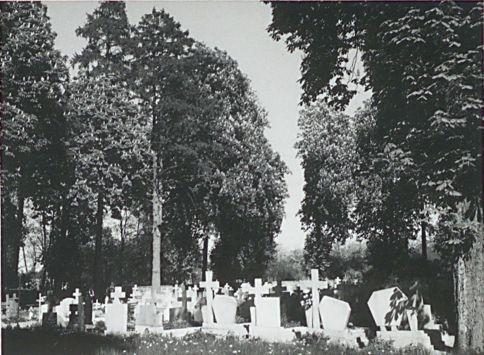 Szpaler północny i czynna kwatera (1999)