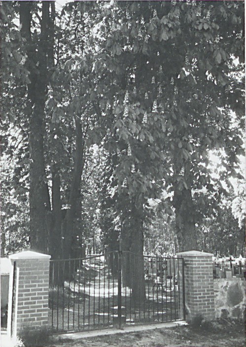 Brama i aleja główna cmentarza (fot. Ryszard Patorski, kwiecień 1999)