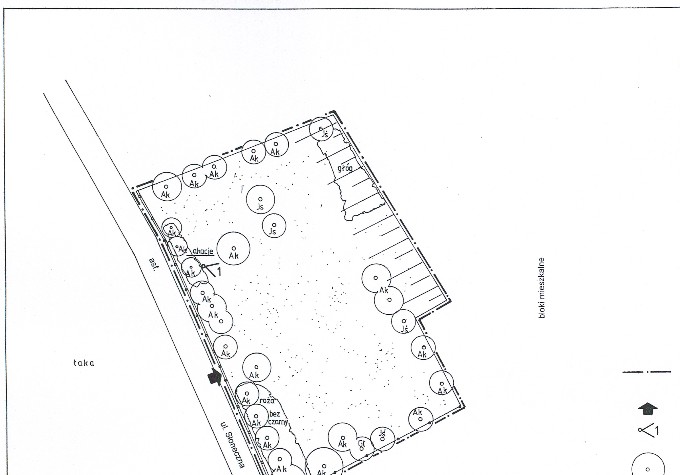 Plan sytuacyjny cmentarza, skala 1:500 (oprac. H. Grecki, 1998)